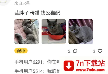 有只宠物2025最新版本 有只宠物2025最新版本