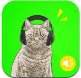 ģ2025ٷ°汾v9.5.5 ٷ