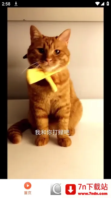 ̾簲׿ֻv1.0.0 ׿ͼ