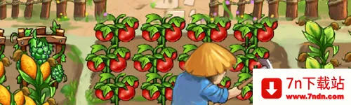 我的小农院2025官方最新版本 我的小农院2025官方最新版本
