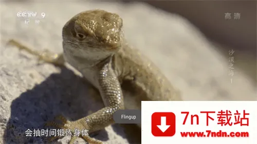 星火电视2025下载安装 星火电视2025下载安装