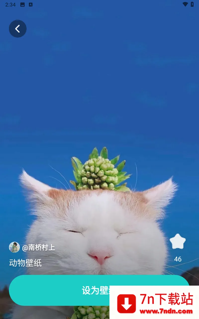 青藤壁纸背景图(壁纸定制) 青藤壁纸背景图(壁纸定制)