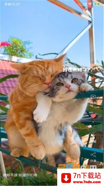 ������Ƶ��ֽ(��Ƶ��ֽƽ̨)v4.1.4 �ٷ������ͼ