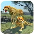 �Ա�ģ����(�Ա�ģ����Ϸ)v206 ��Ѱ�