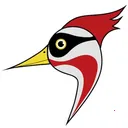 ��ҽ�������ֻ���v1.0 �ֻ���