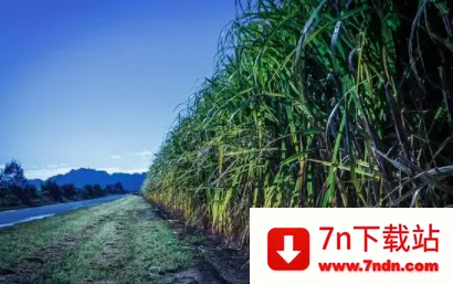 ����ũ��׿���ֻ���