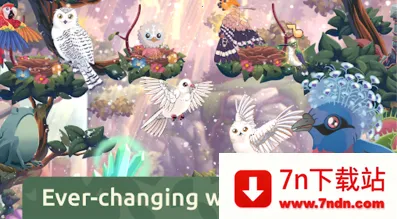 �ڴ������