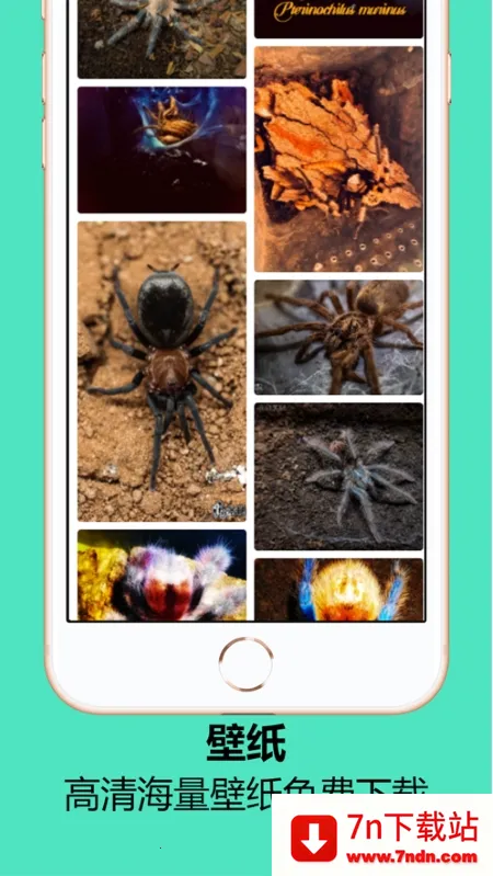 ����ʱ����׿���ֻ���v1.1.6 �ֻ����ͼ