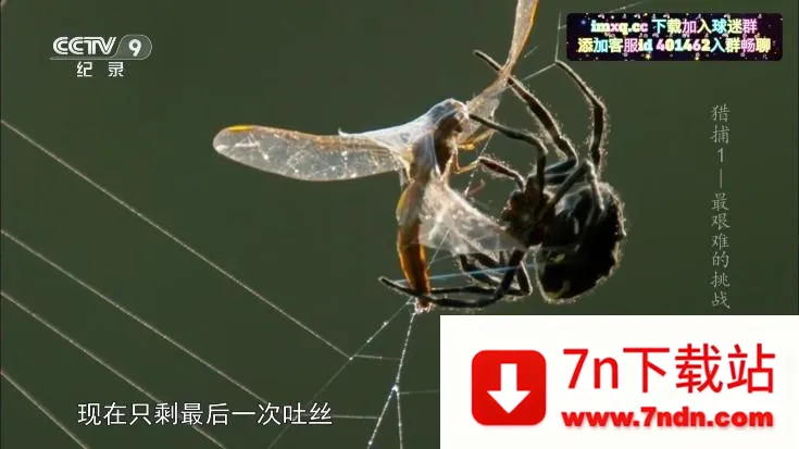 �ʺ�����ȶ�