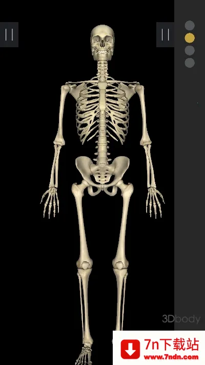 3Dbody���������ֻ���