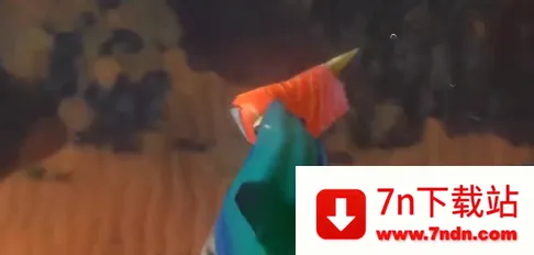 �����Ȩ����ս