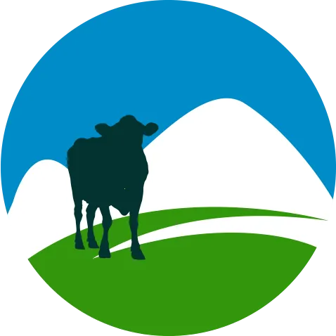 ��������ͨ2026�ٷ�����v1.1 ��׿��