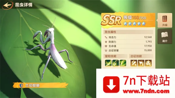 СС�Ҵ�����Ϸ