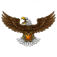 ��ӥTV2026�ٷ����°汾v8.7 �ֻ���