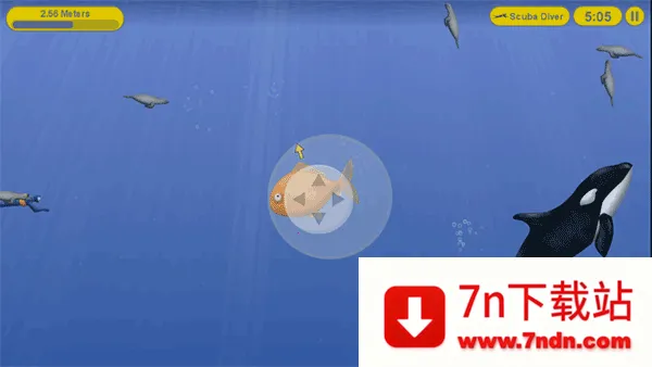 ��ζ��������(����������Ϸ)