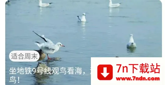 ����(����ͨ��������)