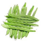 С�˶������ֻ���v4.1 �ֻ���