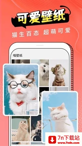 Cat Translation2026���ذ�װv3.1.5 ��Ѱ��ͼ