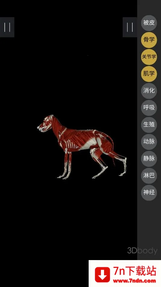 3dbody����app�������v8.8.91 �ֻ����ͼ