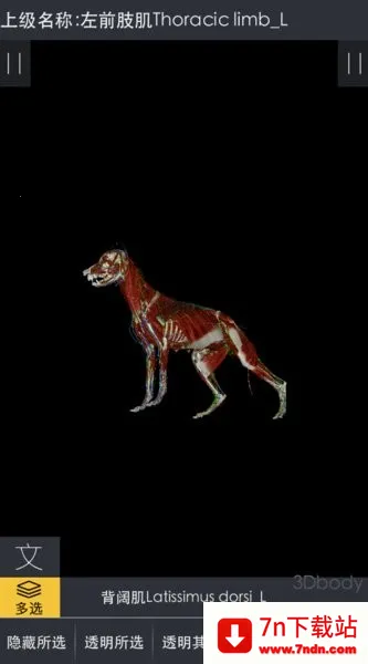 3dbody����app�������