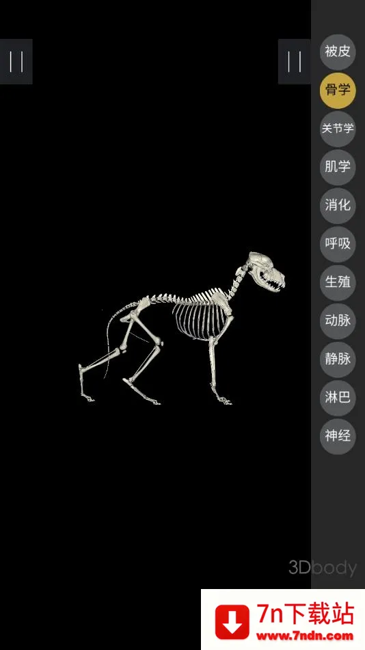 3dbody��������v8.8.91 ��Ѱ��ͼ