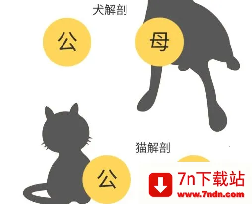 3dbody��������