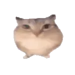 �ͰͲ�һ(δ�ἰ���Ĺ����޷�����)v1.0 �ٷ�����