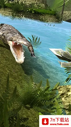 ����21������Bilibili