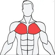Muscle Wiki(������������)v3.0.9 ��Ѱ�
