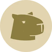 Capy Reader(��׿RSS�Ķ���)v2026.02.1197 �ֻ���