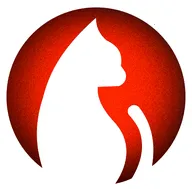 ׷��è(Ӱ��׷��ƽ̨)v1.1.8 ��׿��