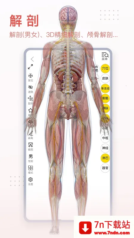3dbody�������İ�v8.8.91 ��׿���ͼ