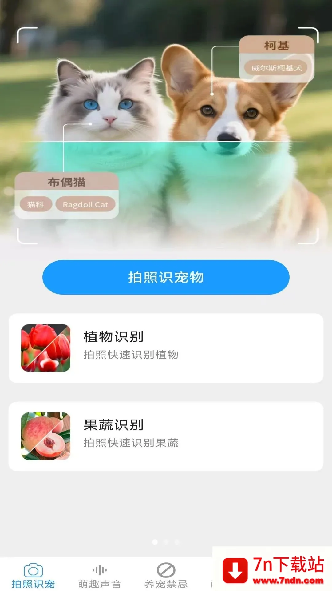 Ԫ������2026�ٷ�����v2.6.6.3 �ֻ����ͼ