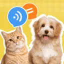 è�����ｻ������(������������Ӧ��)v1.0.2 ��Ѱ�