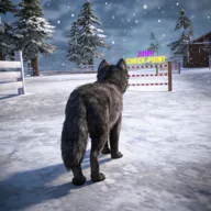 ��ģ���� 3D2026���ذ�װv1.0.6 ��Ѱ�