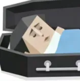 SBTI����2026���ذ�װv1.1.1 �ٷ�����