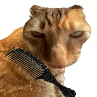��è��ë(����������ë)v1.0 ��׿��