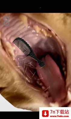 ��è��ë(����������ë)v1.0 ��׿���ͼ