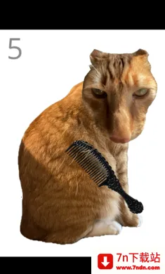 ��è��ë(����������ë)v1.0 ��׿���ͼ