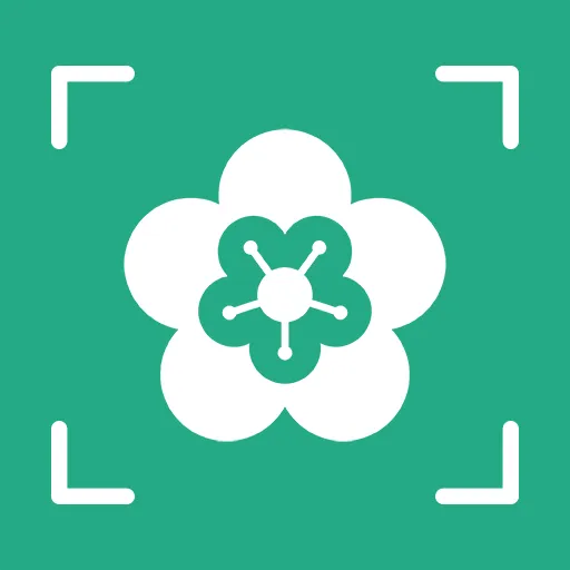 AI����ʶ��(����ʶ���﹦��)v1.0.0 �ٷ�����