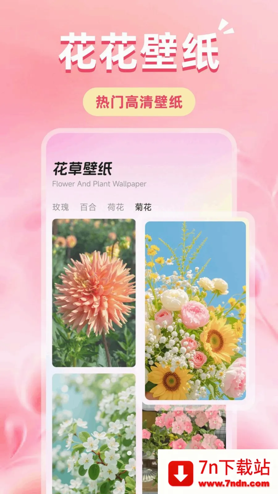 �ǹ��Ļ�2026�ٷ����°汾v1.1 �ֻ����ͼ