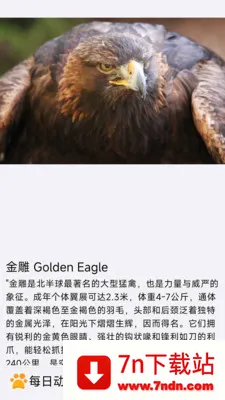 ÿ�ն���(�������APP)v1.0.0 �ٷ������ͼ
