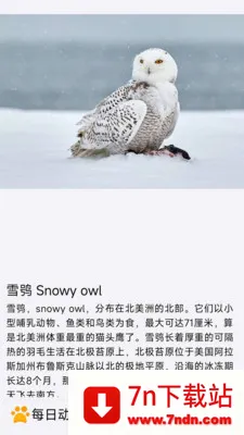 ÿ�ն���(�������APP)v1.0.0 �ٷ������ͼ
