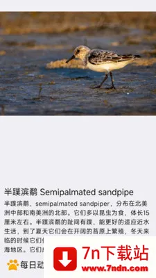 ÿ�ն���(�������APP)v1.0.0 �ٷ������ͼ