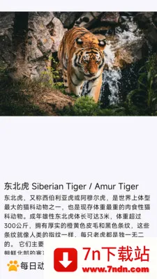ÿ�ն���(�������APP)v1.0.0 �ٷ������ͼ
