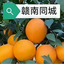 ����ͬ��2026���°汾v15.7.4 �ٷ�����