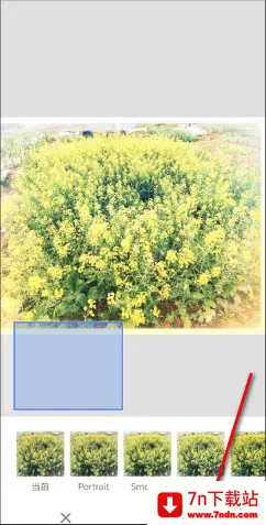 BetterSeed安卓版手机版